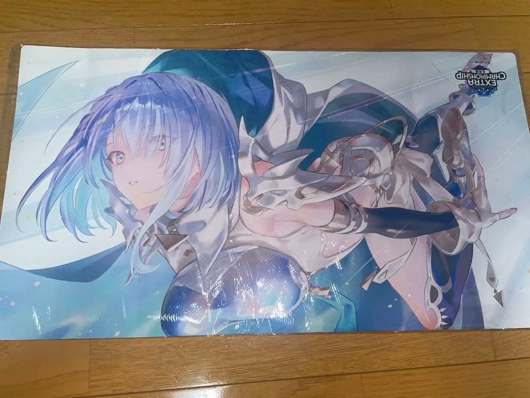 ドライツェーン2025ラバーマット - メルカリ