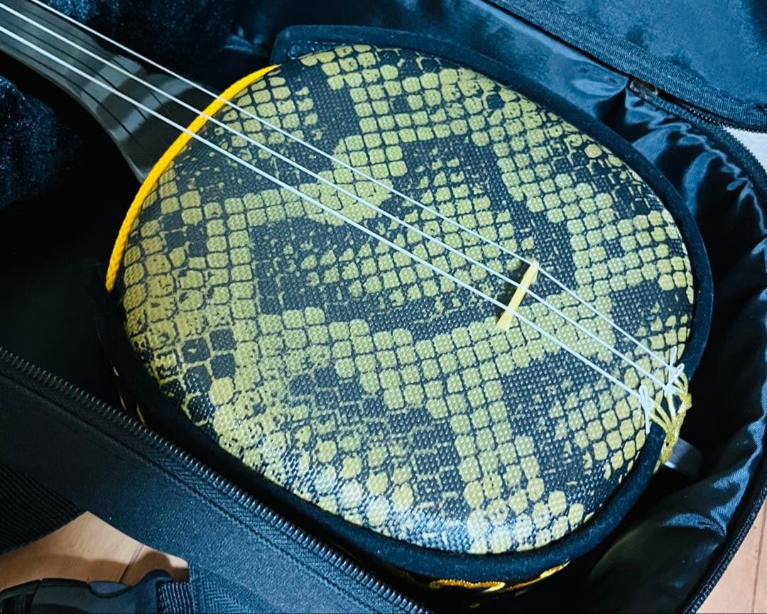 極美品⭐︎沖縄三線 人工革 入門セット ソフトケース付 付属品 多数