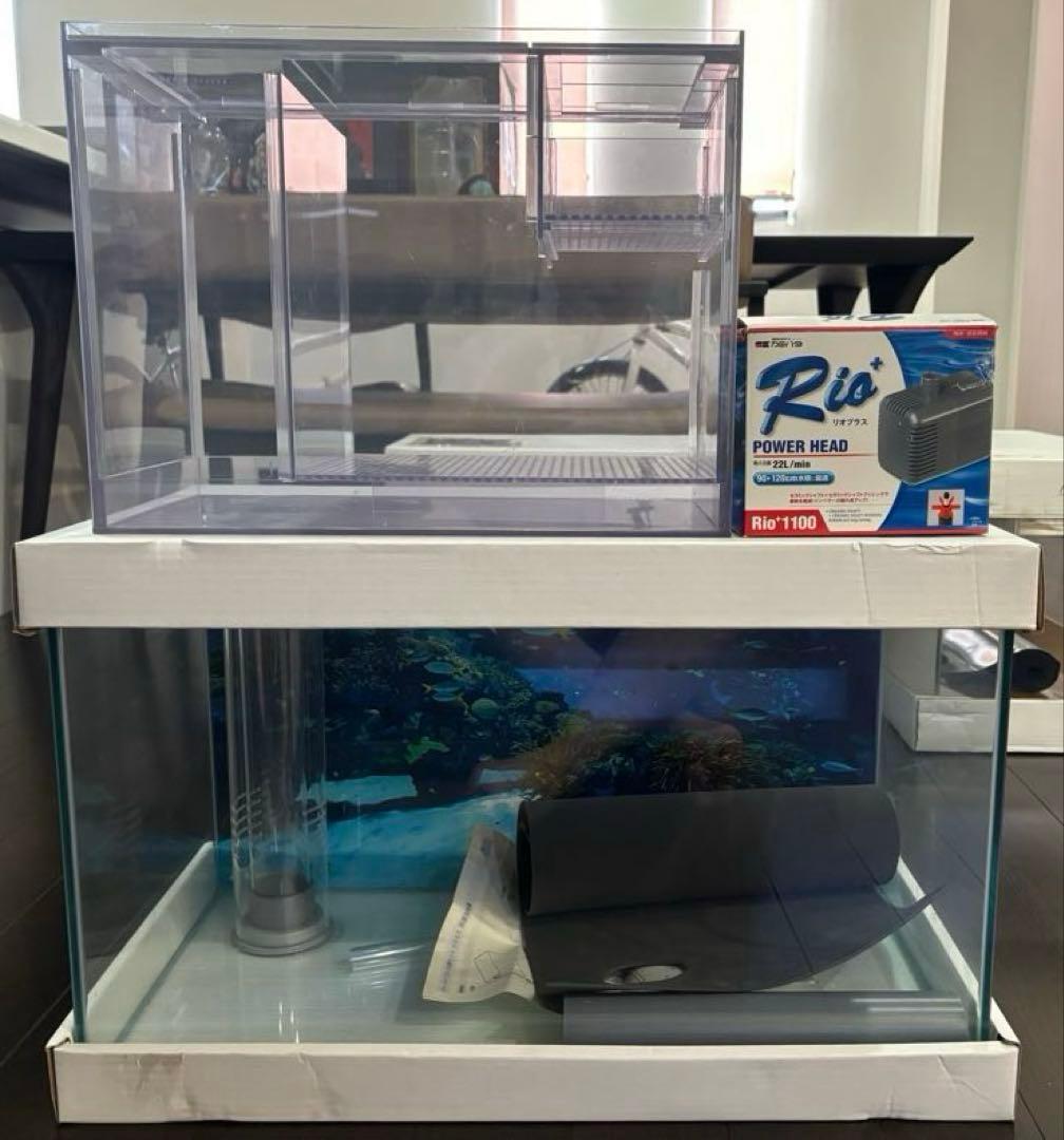 クロミス オーバーフロー水槽60x30x36,アクリル濾過槽,Rioポンプ 大型）オーバーフロー水槽 東日本用 クロミス60 ノーマルセット