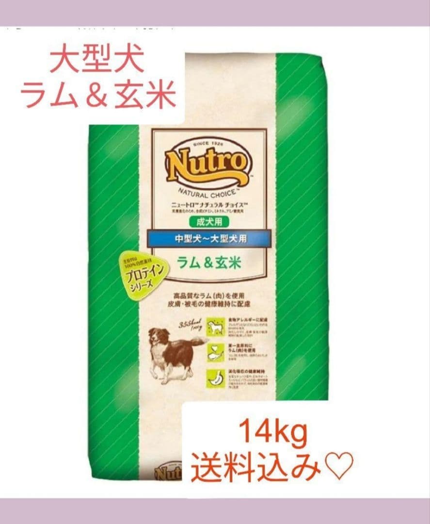 ニュートロ ナチュラル チョイス 中～大型犬用 成犬用 ラム＆玄米