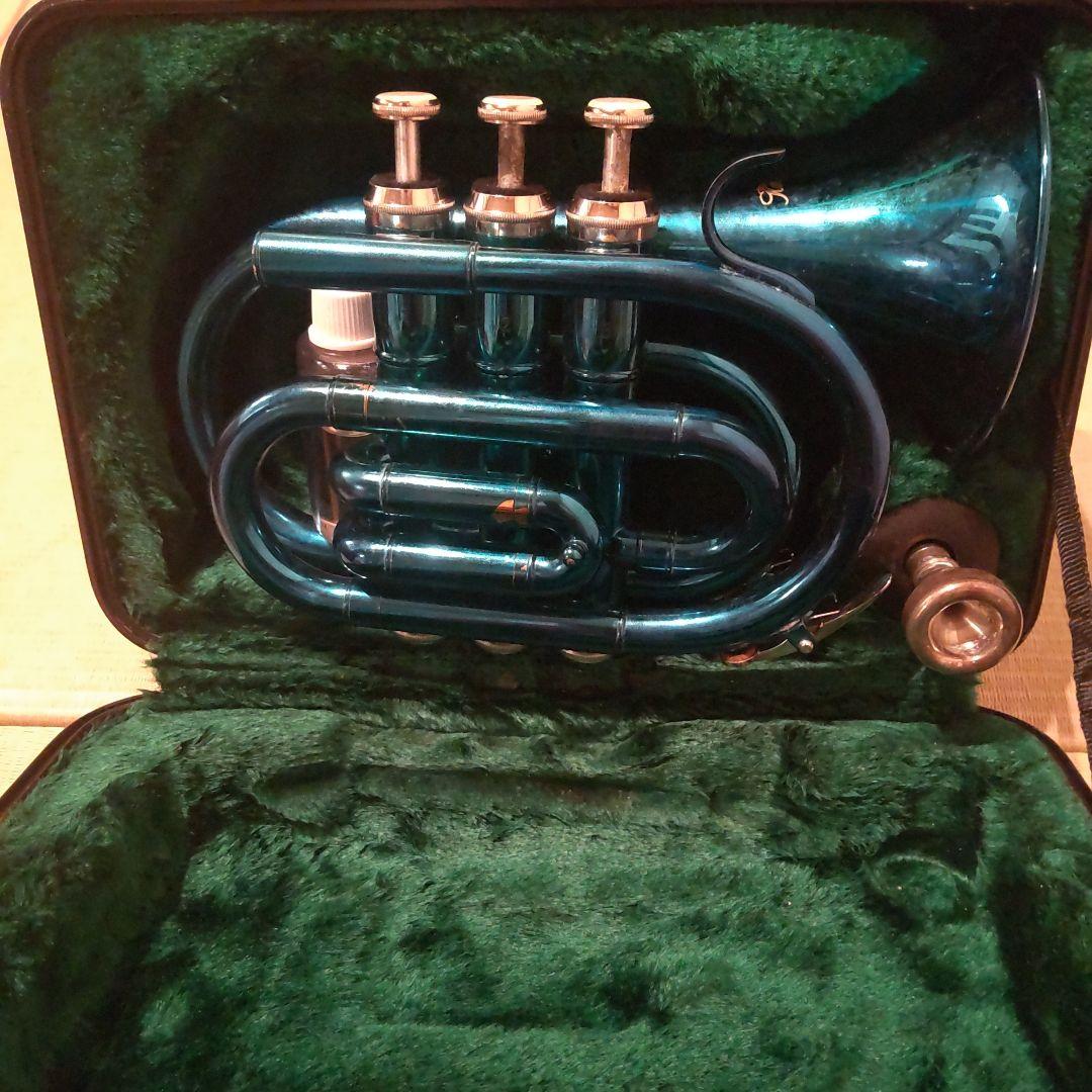 ね*ね様 ポケットトランペット ケース マウスピース付き 楽天市場】プロテック マウスピースポーチ トランペット(4本収納可能