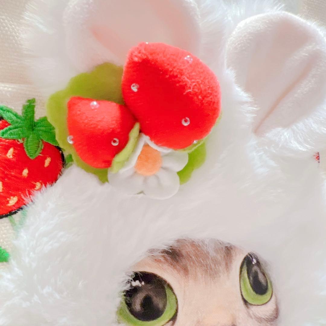 コヤンイサムチョン うさぎ サンダーちゃん のいちご刺繍 フリルトート