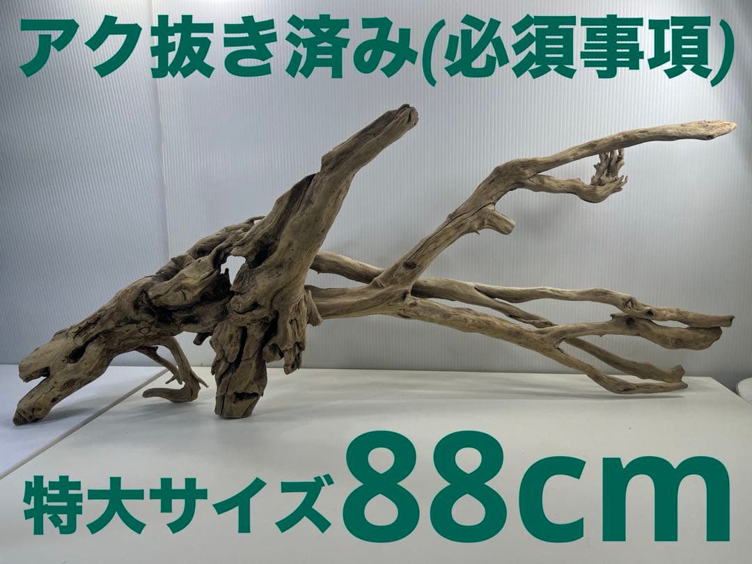 V24特大流木 アク抜き済み流木 爬虫類シェルター 登り木 インテリア 生け花 V24特大流木 アク抜き済み流木 爬虫類シェルター 登り木 インテリア