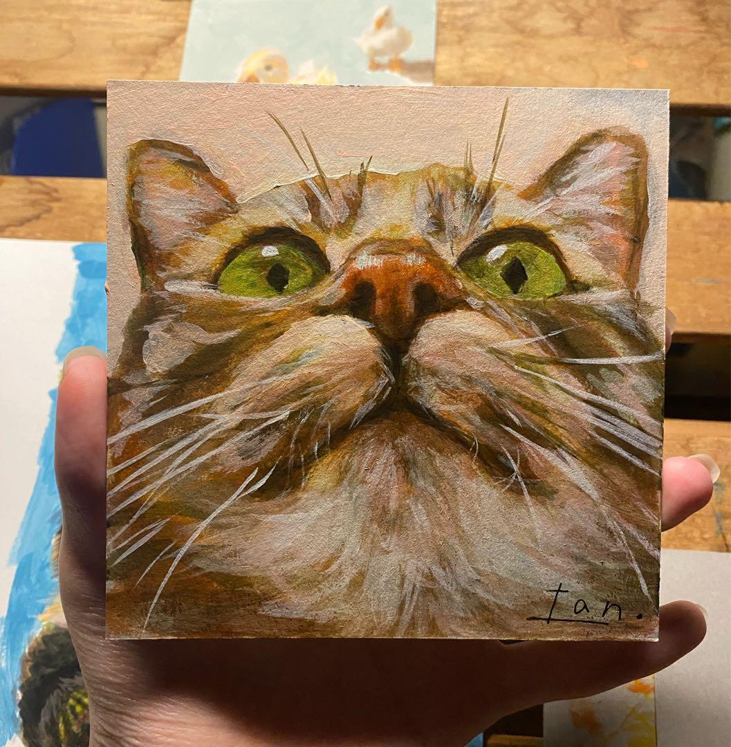 ぴ*よ様 だいはくりょく