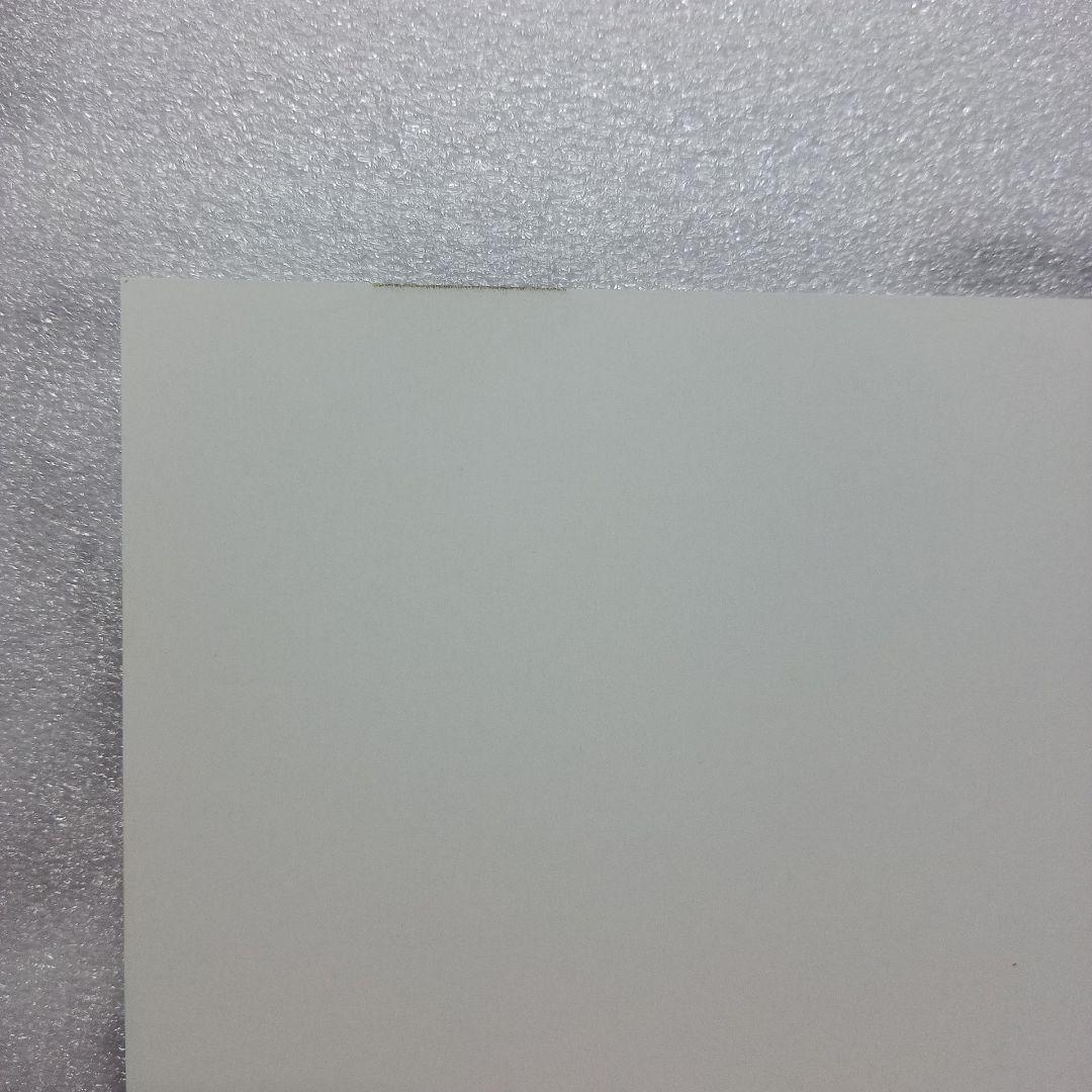 ̑様 スーパーダンガンロンパ2 南国ぜつぼうカーニバル!② ワンダーグー