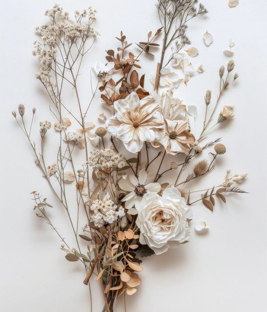 たらこぱすた 000000000637_lDxeqKK.jpg