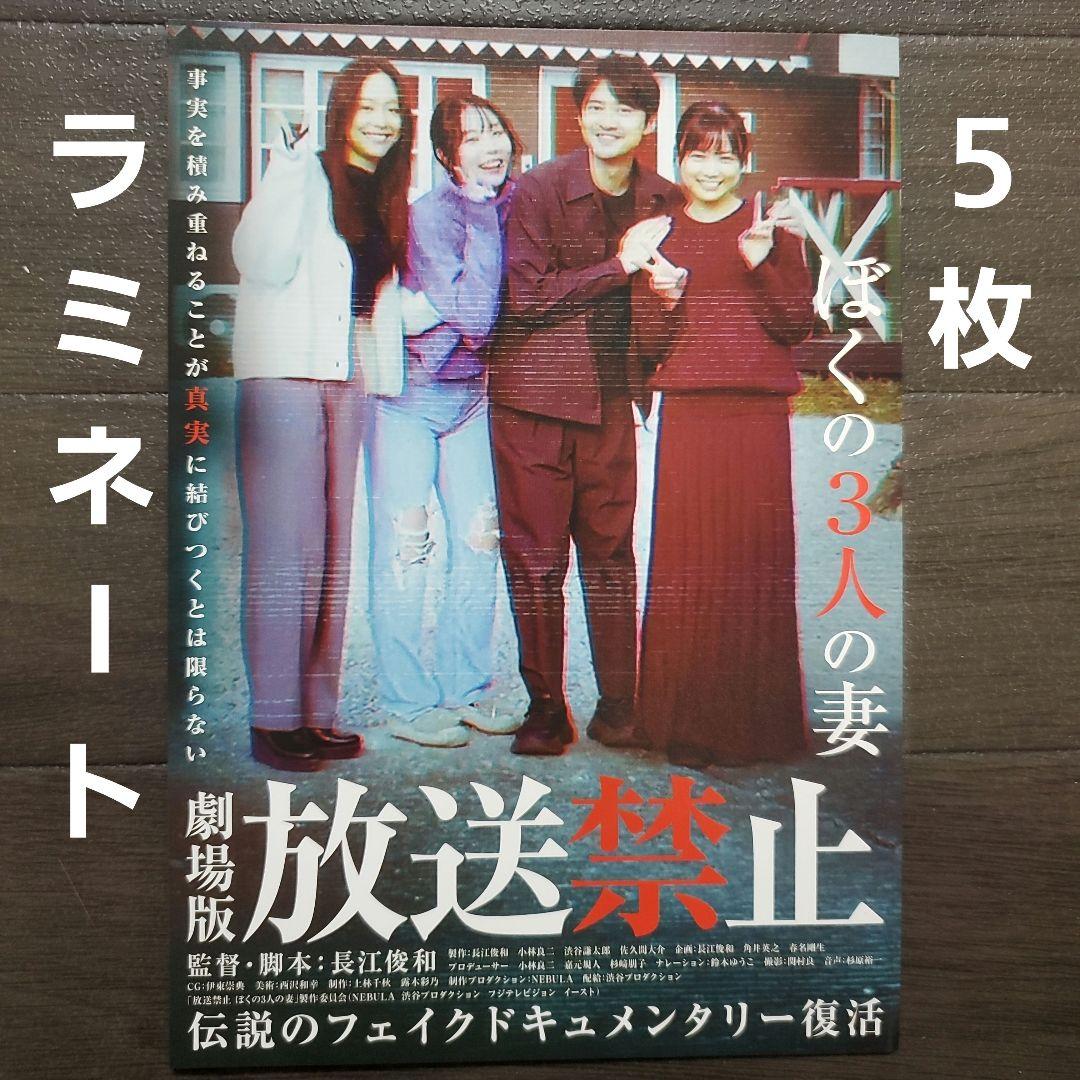 映画 放送禁止 ぼくの3人の妻 ラミネート+ チラシ フライヤー 5枚