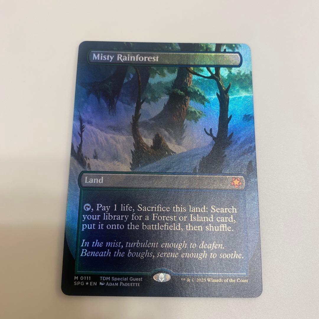 【MTG】霧深い雨林 Foil 旧枠仕様)霧深い雨林/Misty Rainforest《日本語》【MH2】
