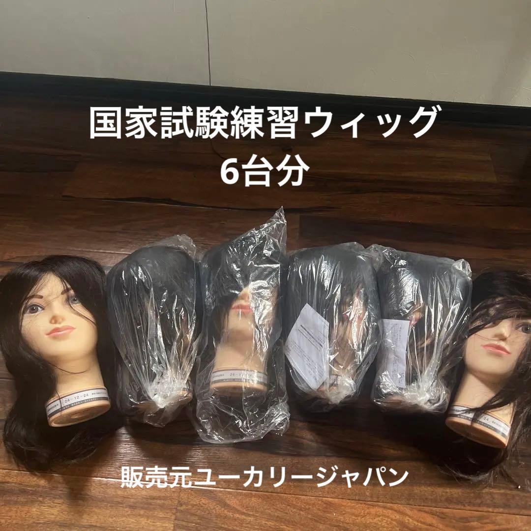 国家試験用カットウィッグ6体セット