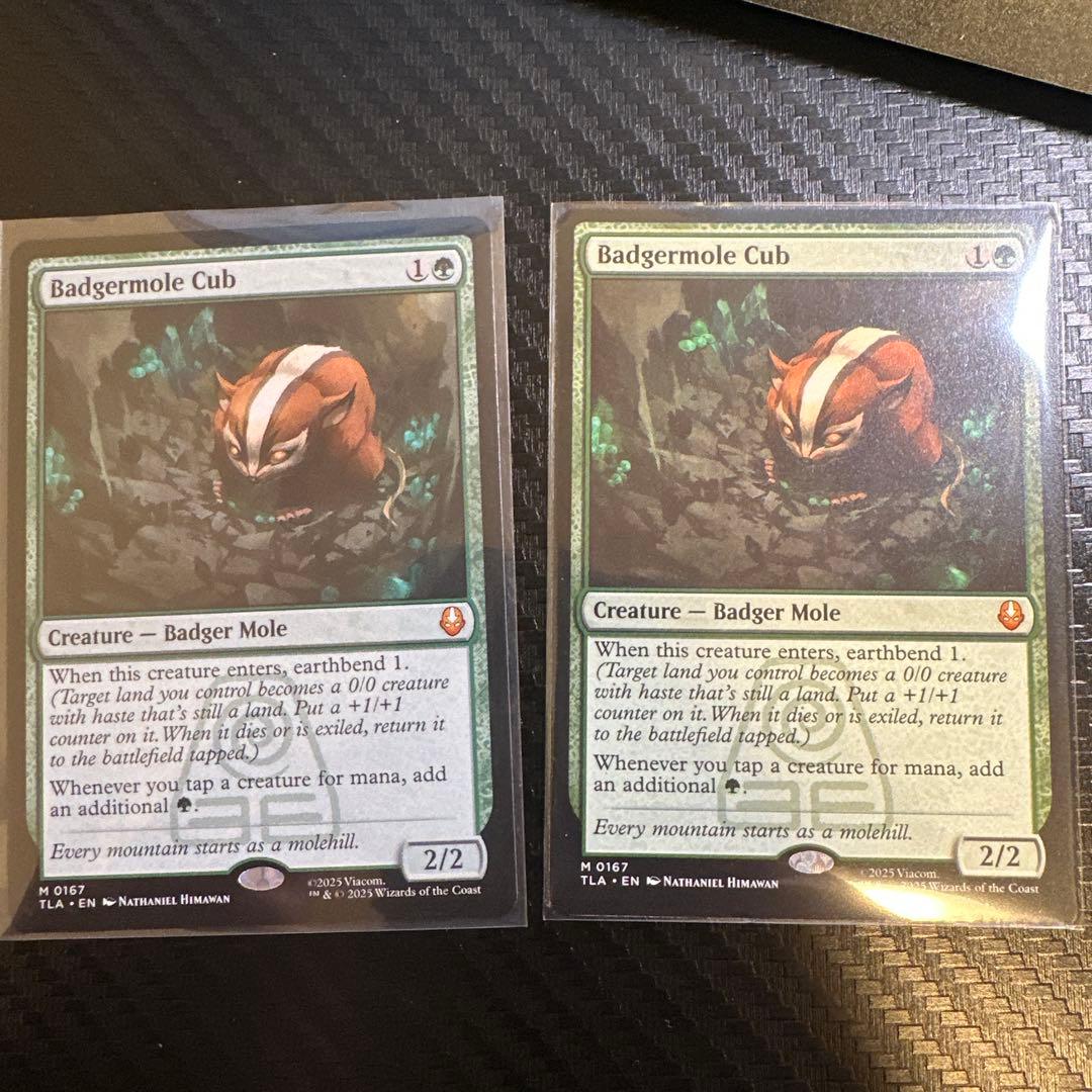 MTG アナグマモグラの仔 英語　2枚セット アナグマモグラの仔/Badgermole Cub《英語》【TLA】