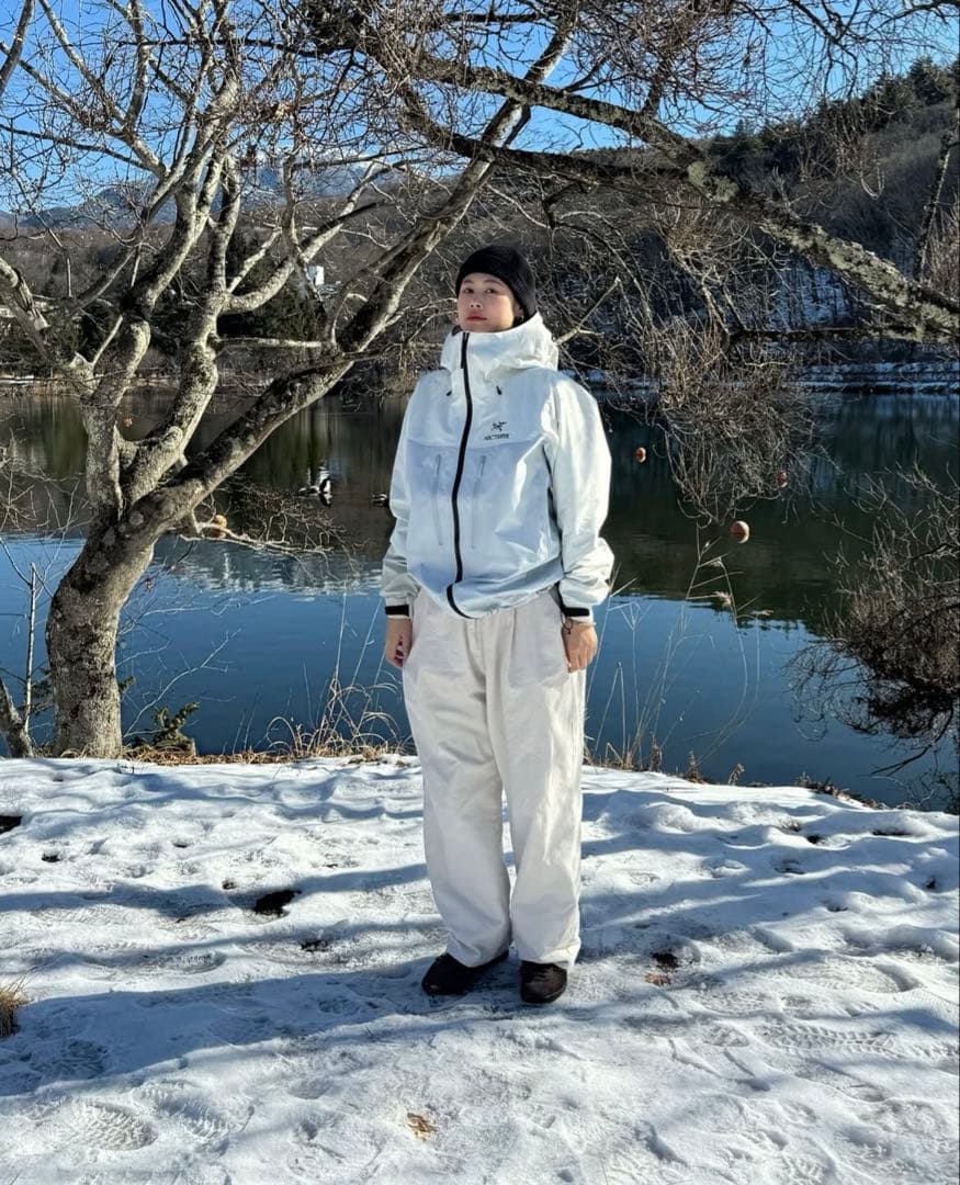 新品限定 田中シェン着 Arc'teryx Alpha Jaket Lホワイト白 - メルカリ