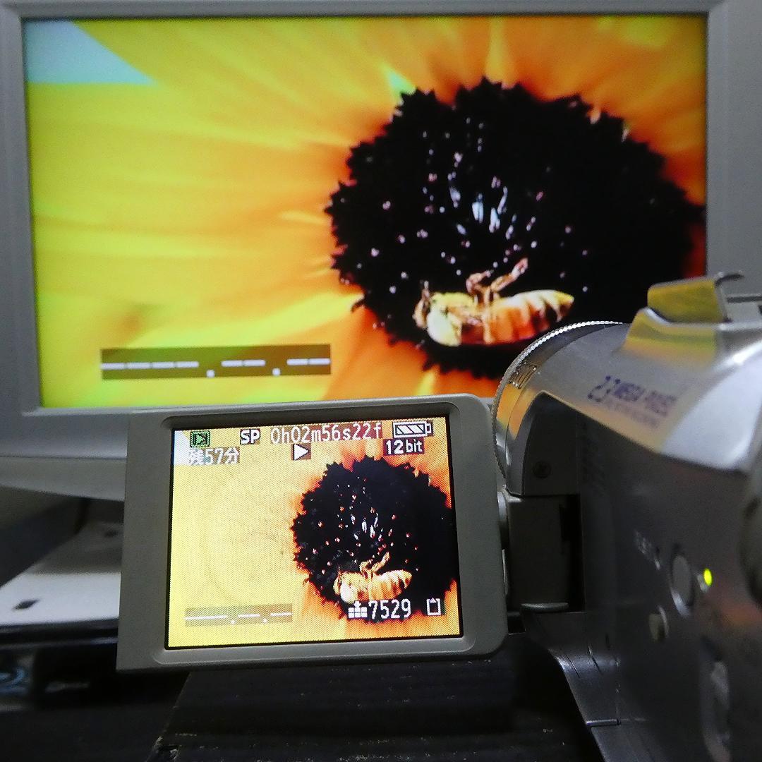動作良好 パナソニックNV-GS150 MiniDVビデオ DVDダビングに最適