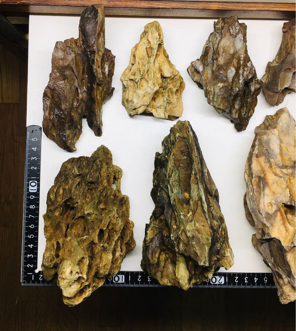 ADA レイアウト素材 黄虎石(おうこせき)18点セット - メルカリ