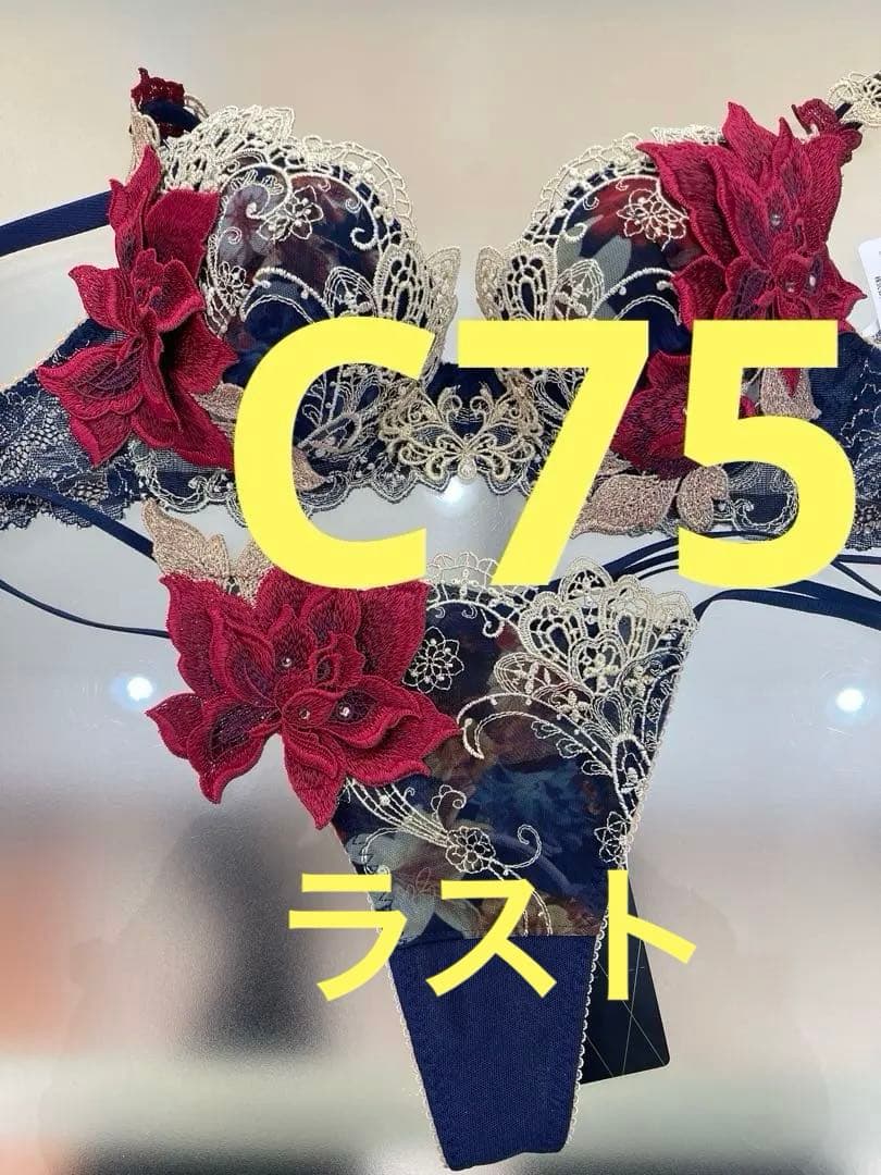 サルート⭐️店舗限定⭐️90グループ⭐️KO⭐️C75/L/M⭐️2点新品タグ