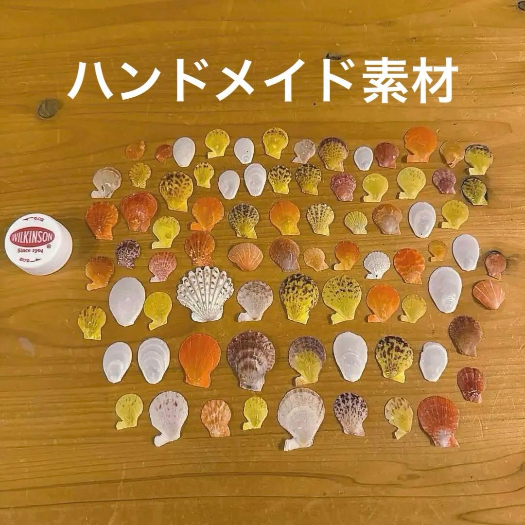 貝殻セット ハンドメイド素材 小さめサイズ 貝標本 - メルカリ