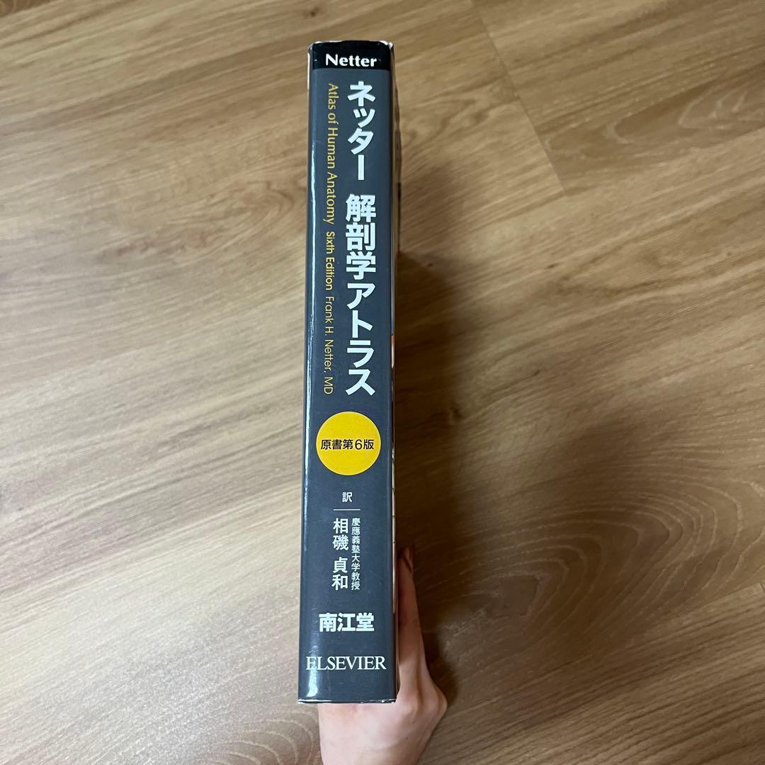 Netter ネッター解剖学アトラス 原書第6版南江堂 医師 理学療法士 医療