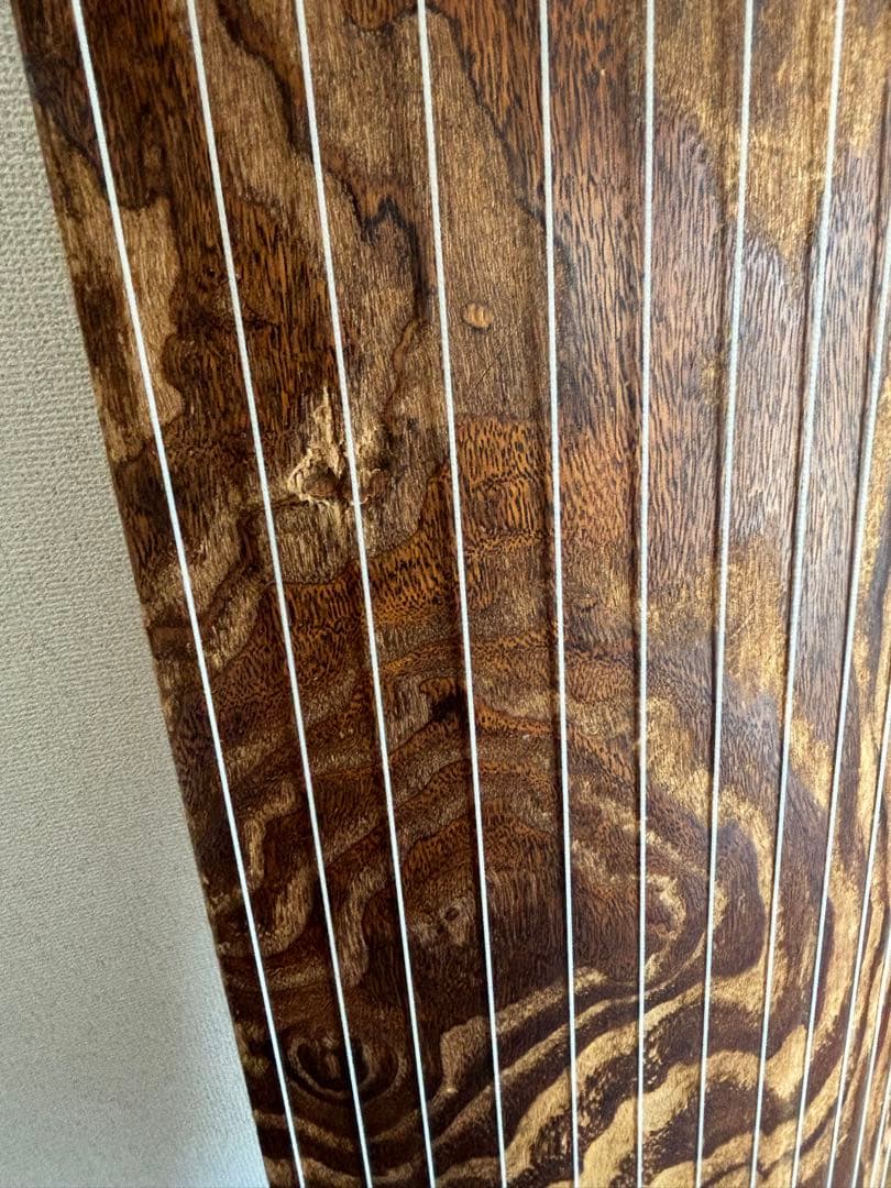 【はーちゃん】