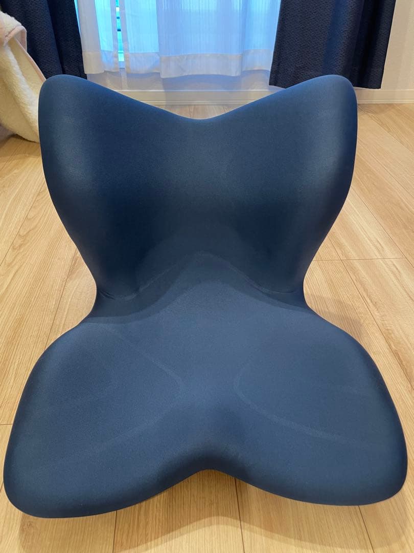 スタイルプレミアム 骨盤サポートチェア Amazon.co.jp: スタイル プレミアム シリーズ/Style PREMIUM Series