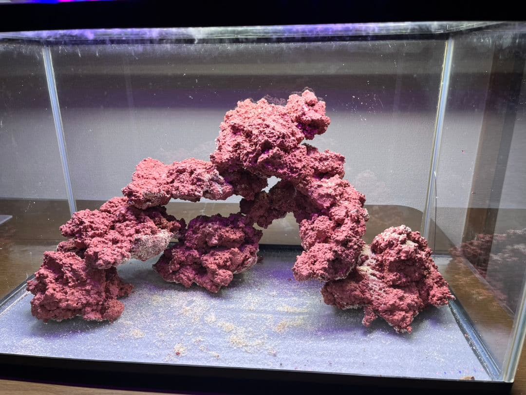 アク抜き中特価 人工ライブロック 60cm水槽ぴったりセット - メルカリ