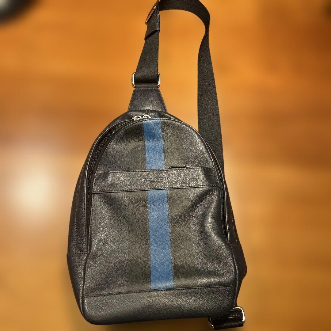 COACH レザー ショルダーバッグ ブラック/ブルー COACH（コーチ） ショルダーバッグ レザー サリバン フラップ クロス