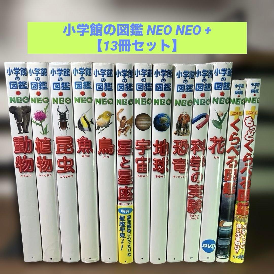 小学館の図鑑 NEO NEO + 【13冊セット】 小学館の図鑑NEO〔新版〕 昆虫 DVDつき | 書籍 | 小学館