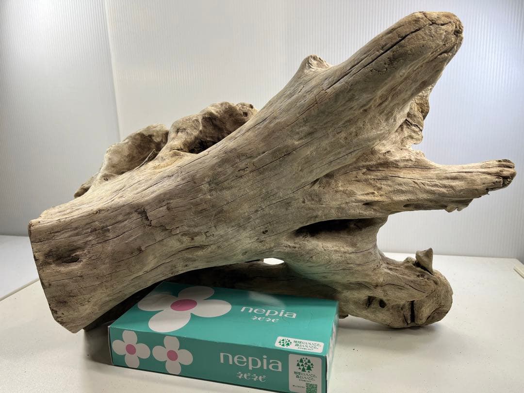 T90特大流木 大型流木 アク抜き済み 漂白処理 爬虫類シェルター