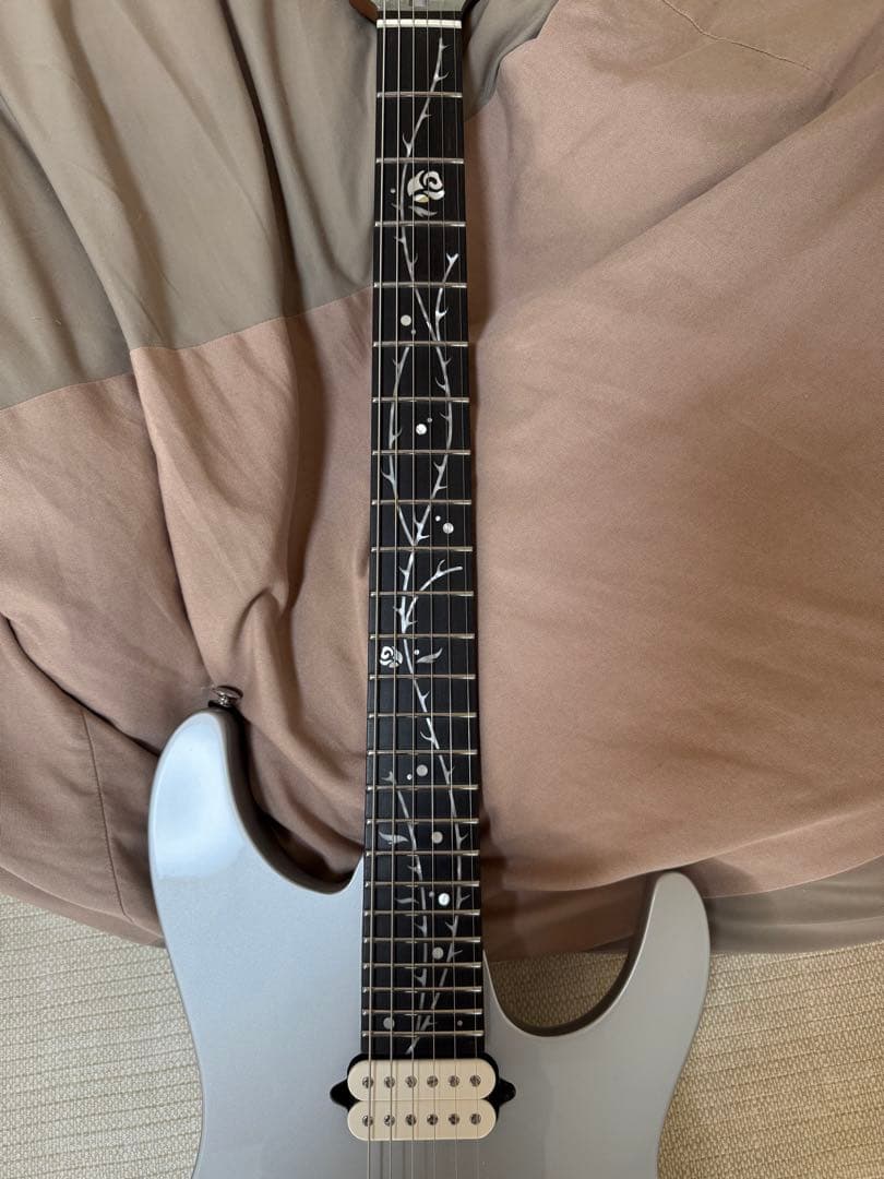 期間限定値下げ】2025年4月新品購入 Ibanez TOD 10 - メルカリ