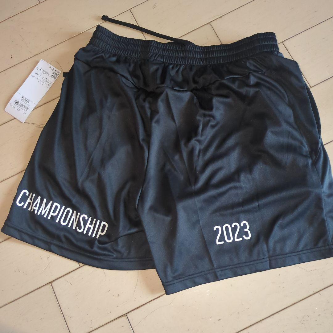 激レア デサント バレーボール ゲームパンツ オールジャパン 国体 天皇