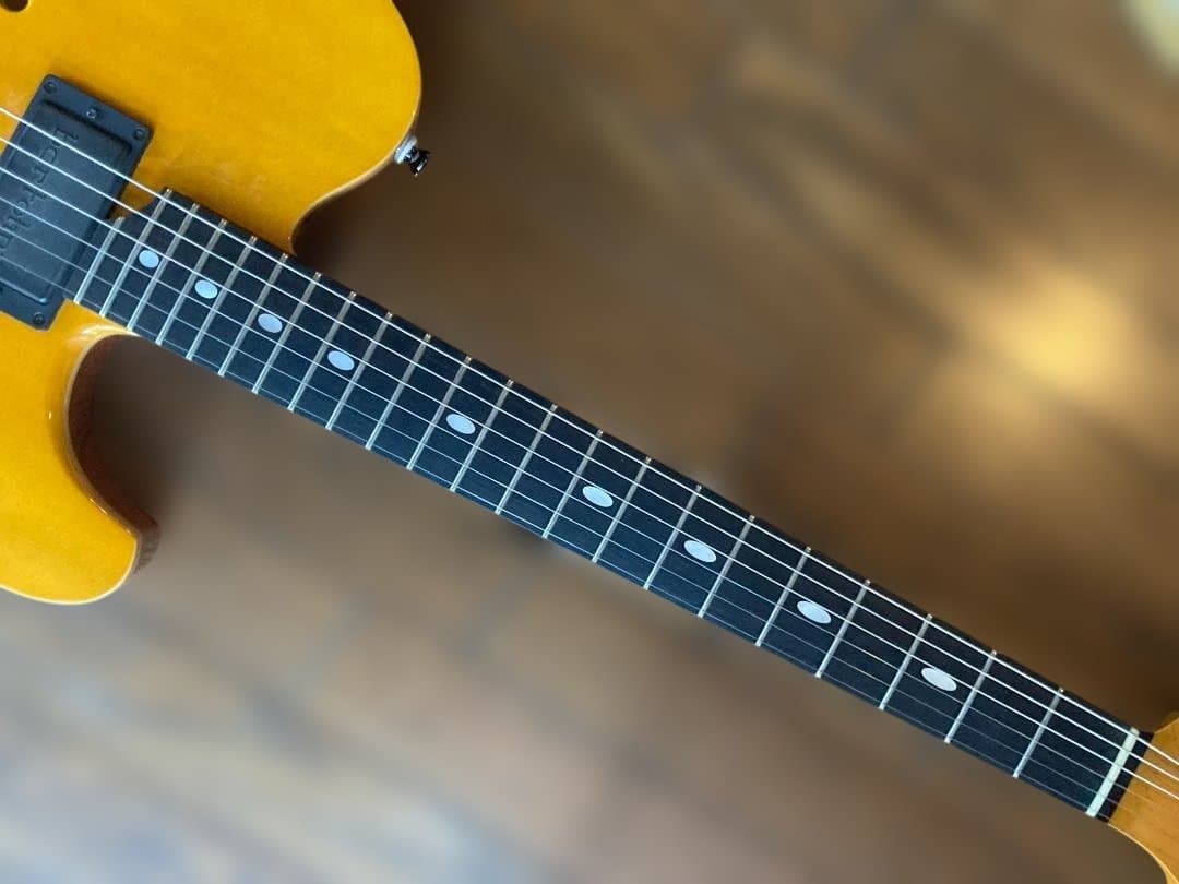 Westville Westel Semi-Hollow 貴重な1マイク仕様 - メルカリ