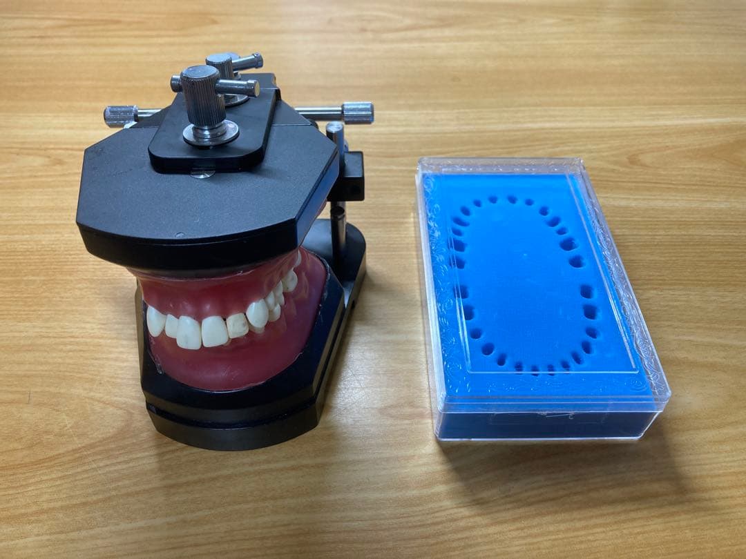 タイポドント咬合器&メタルティースセット　ロッキー（JMオーソ）型　中古 タイポドント咬合器&メタルティースセット ロッキー（JMオーソ）型