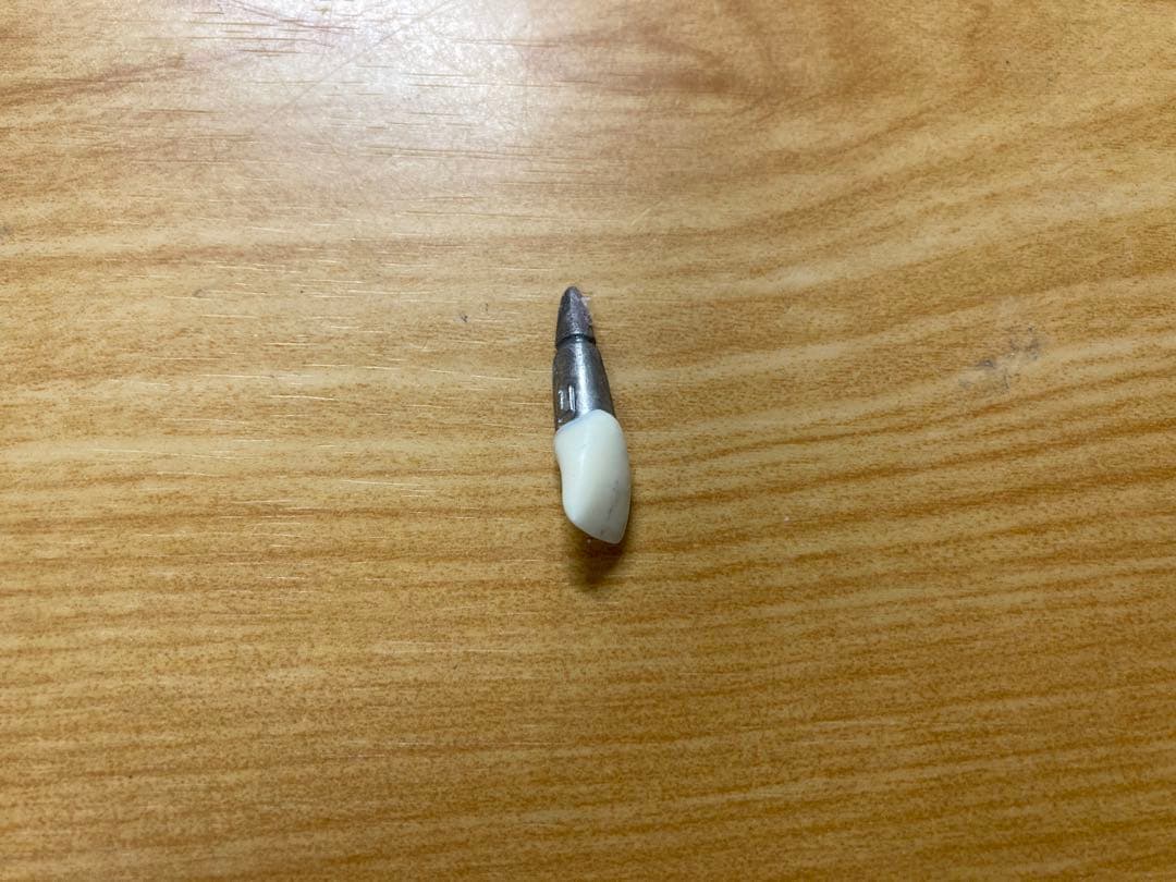 タイポドント咬合器&メタルティースセット ロッキー（JMオーソ）型