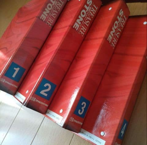 三NAKA-NAKA三 ディアゴスティー二　隔週間　トレジャー·ストーン