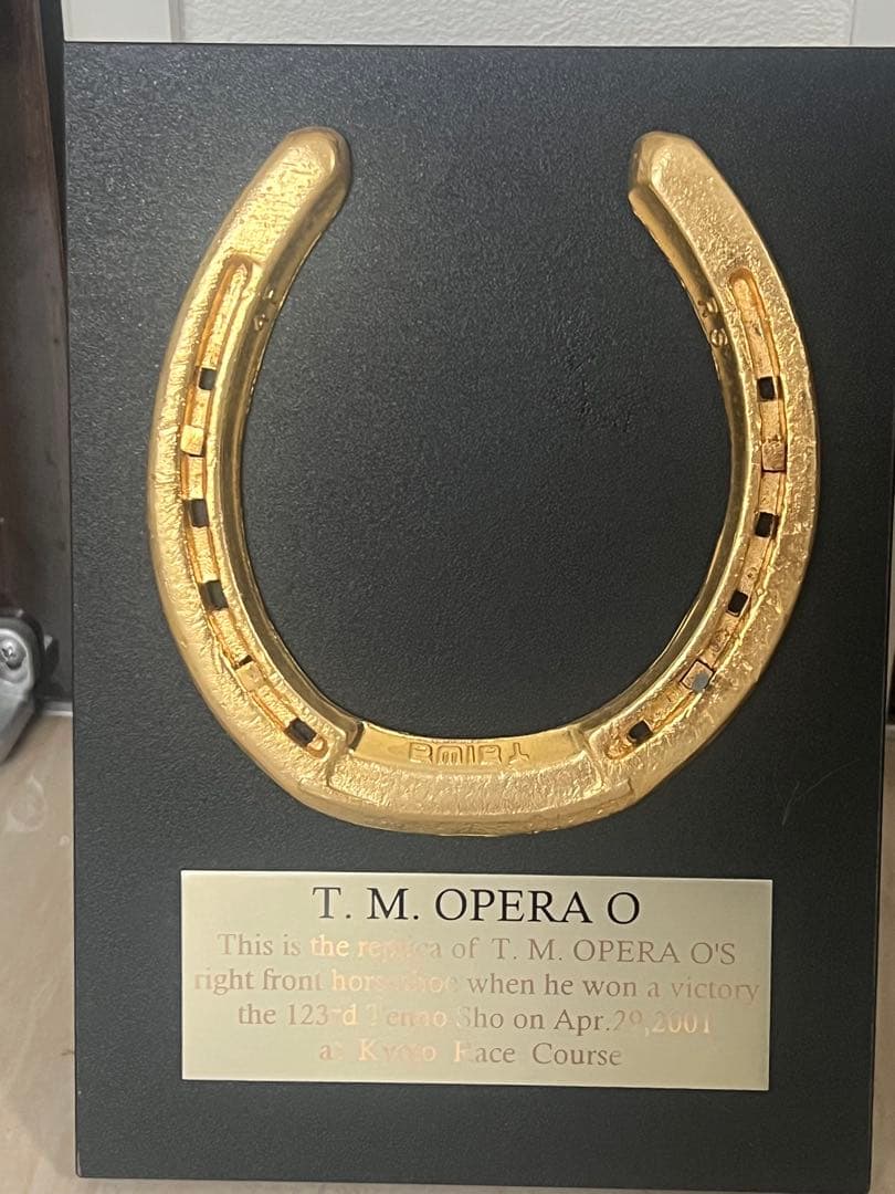 テイエムオペラオー蹄鉄の盾 今ならできたこともあるのでは その思いを胸に | ジャングルポケット