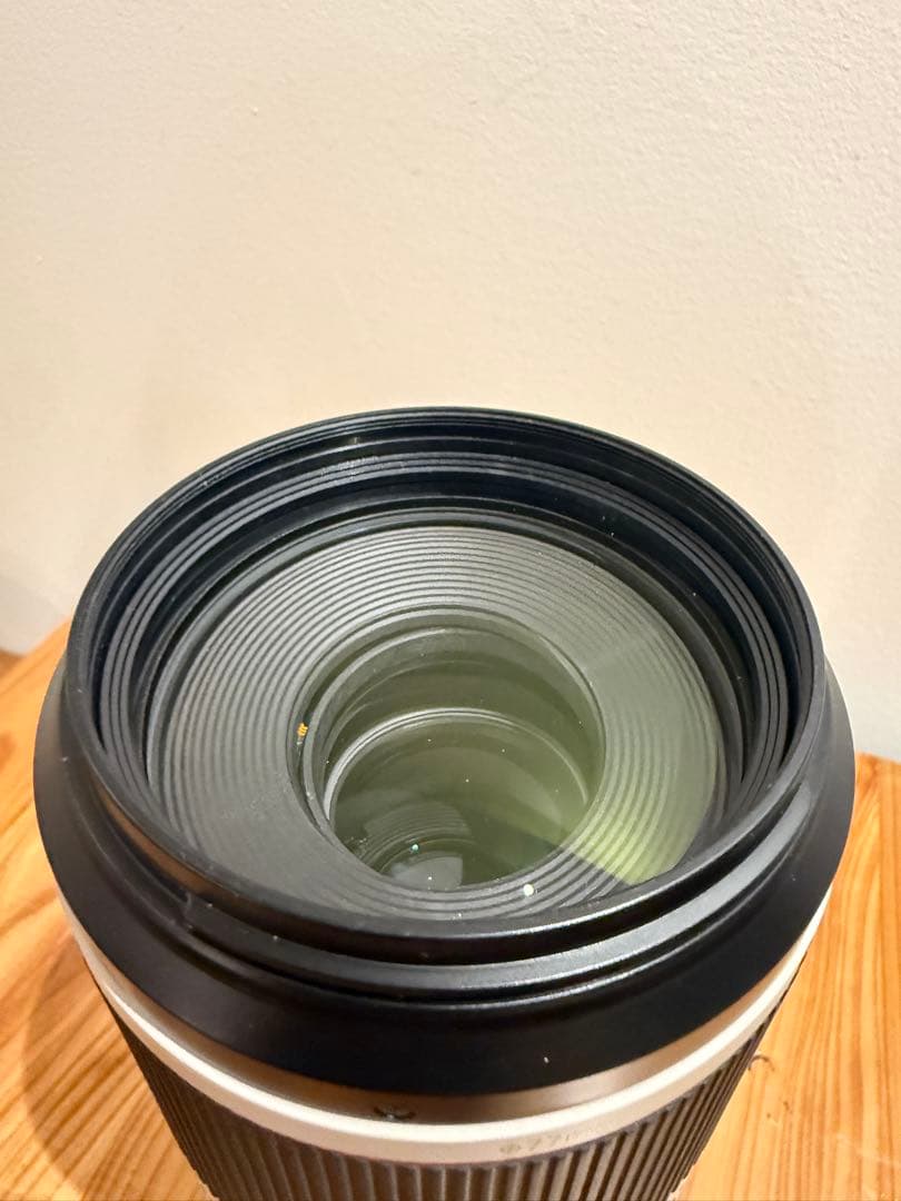 極美品RF100-500mm F4.5-7.1 L IS USM｜保証書付き