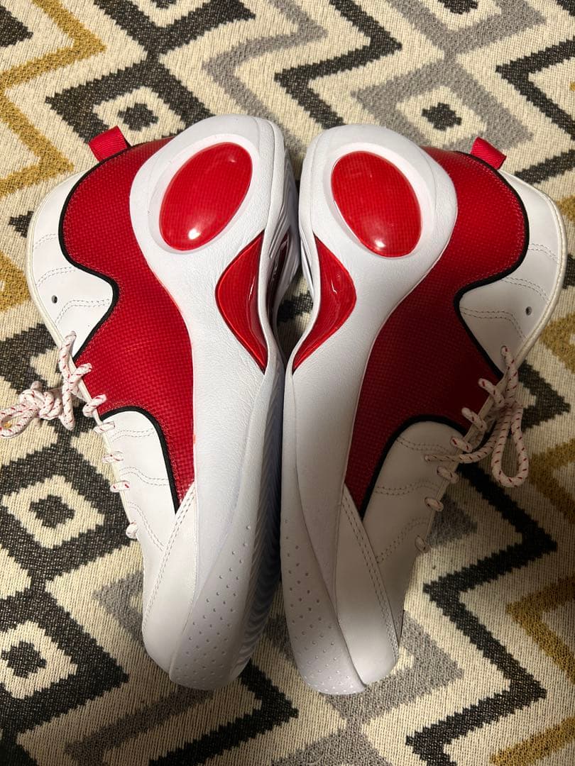 nike zoom flight95 28.5cm ズームフライト95 赤