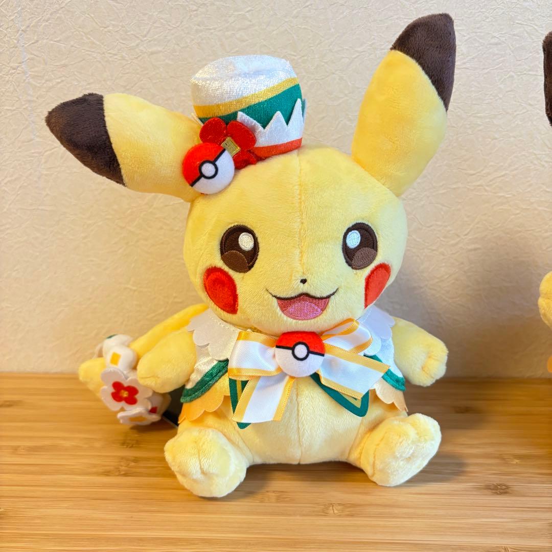 ポケパーク限定 ピカチュウ ぬいぐるみ 2体セット カーニバル - メルカリ