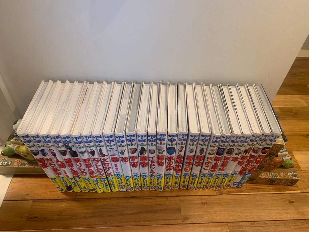 小学館の図鑑 NEOシリーズ全25巻（DVD、付録多数） - メルカリ