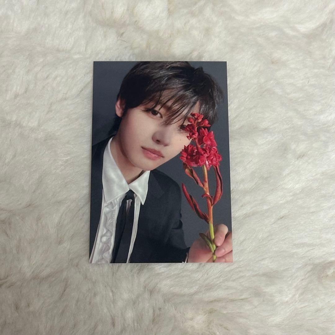 ENHYPEN ソンフン ユニバ ラキドロ トレカ DARKBLOOD - メルカリ