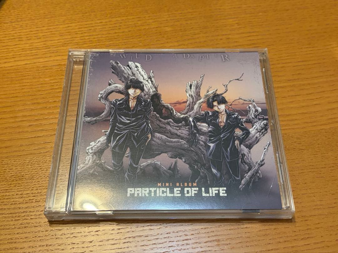 WILD ADAPTER ミニアルバム 2枚セット - メルカリ