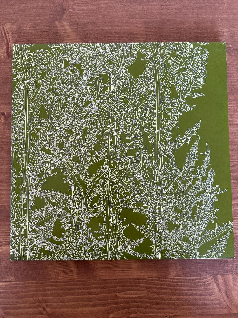 Ricardo Villalobos Alcachofa レコード Ricardo Villalobos - Alcachofa (2003) - New 4 LP Record 2023