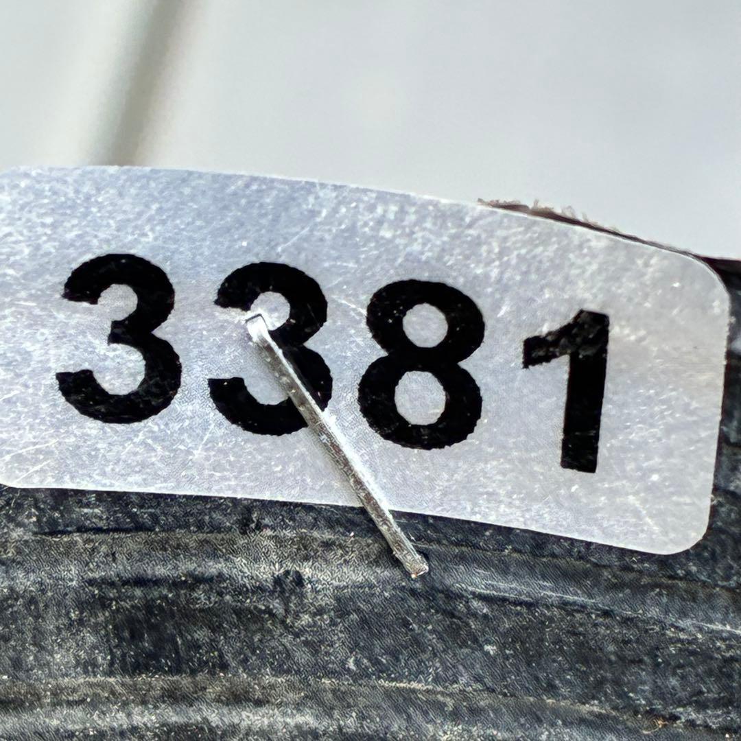 も*子様 ☘️蕾付き☘️タグ付き☘️3381⭐️芳香⭐️超小輪⭐️糸ピコ繊細ベイ