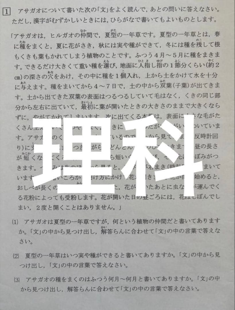 xoxo0530値下げ、採寸不可様