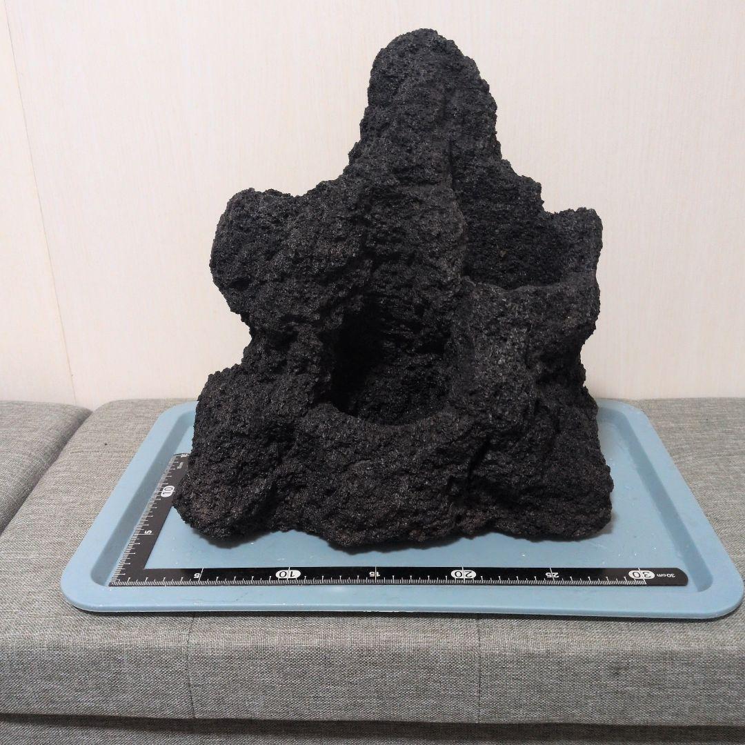 ADA雲山石 Photo 2023 6月 - Aquarium Blog