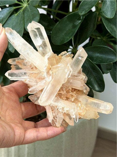 ゆうちゃん様 リクエスト 2点 まとめ商品