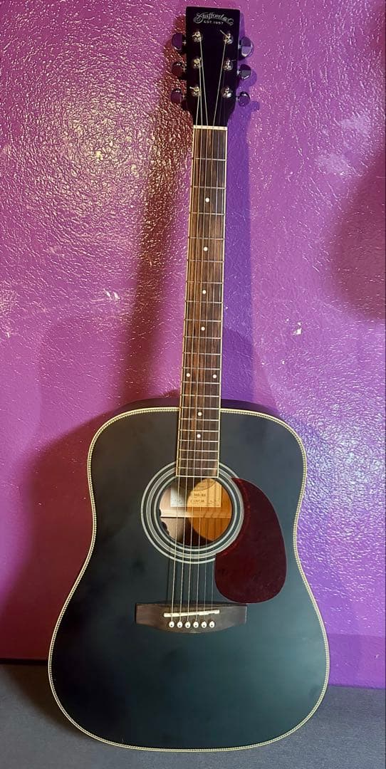 Stafford スタッフォード SF-300D-BLK エレアコギター 楽天市場】stafford エレアコの通販