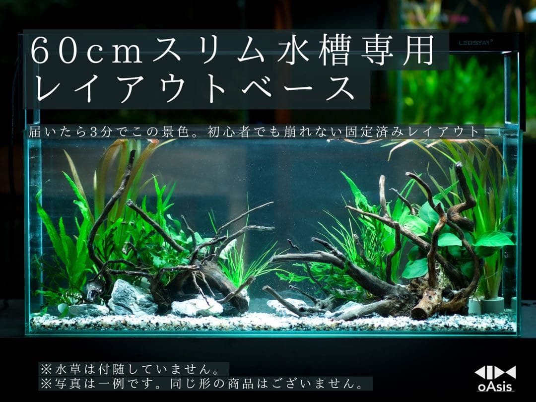 アクアリウム 流木 レイアウトセット 60cmスリム水槽 熱帯魚・水草水槽