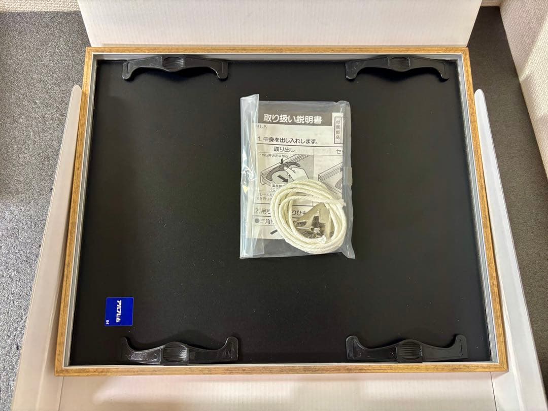 キミにきめた！ ピカチュウ ファイングラフ ポケットモンスター 映画