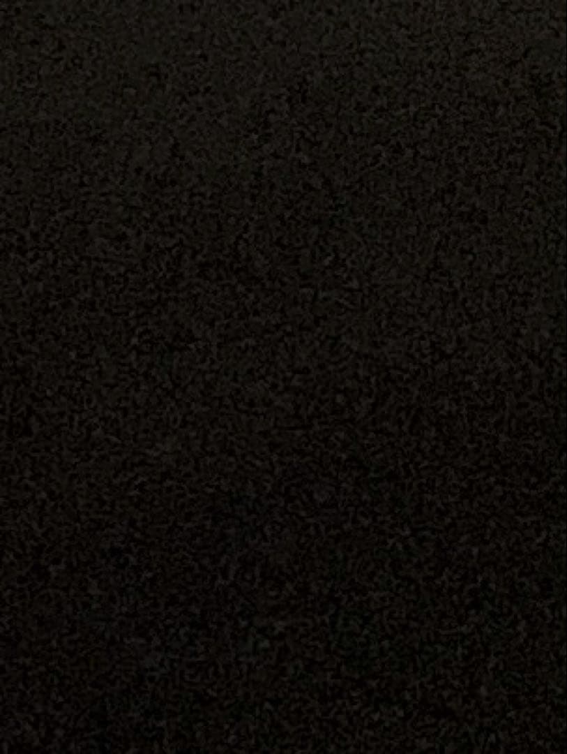 カワウソ SEVENTEEN セブチ ディノ DINO カワウソ かわうそ キーホルダー - メルカリ