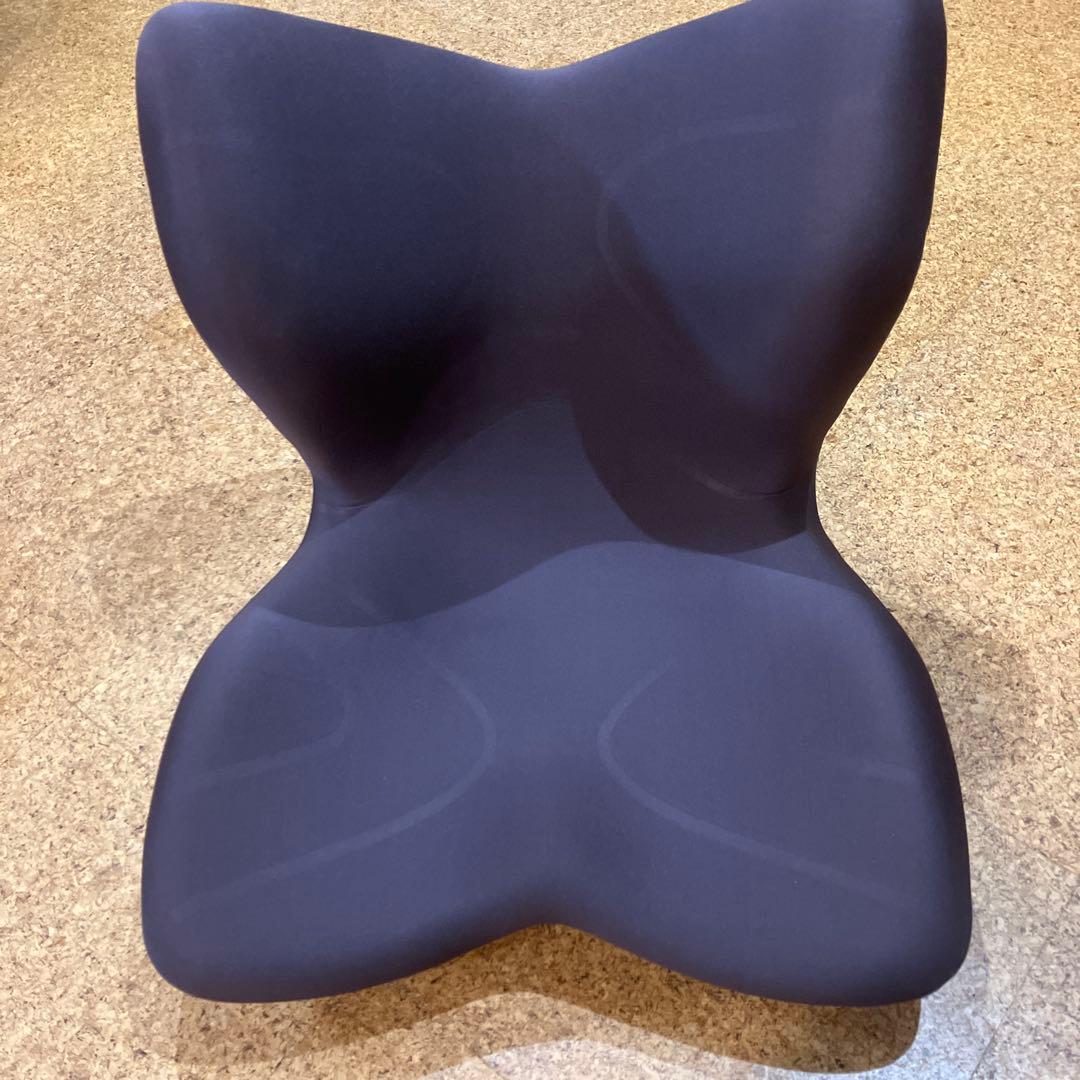 Style PREMIUM スタイルプレミアム　姿勢ケアシート Style（スタイル） 爆買 姿勢ケアシート Style PREMIUM プレミアム MTG