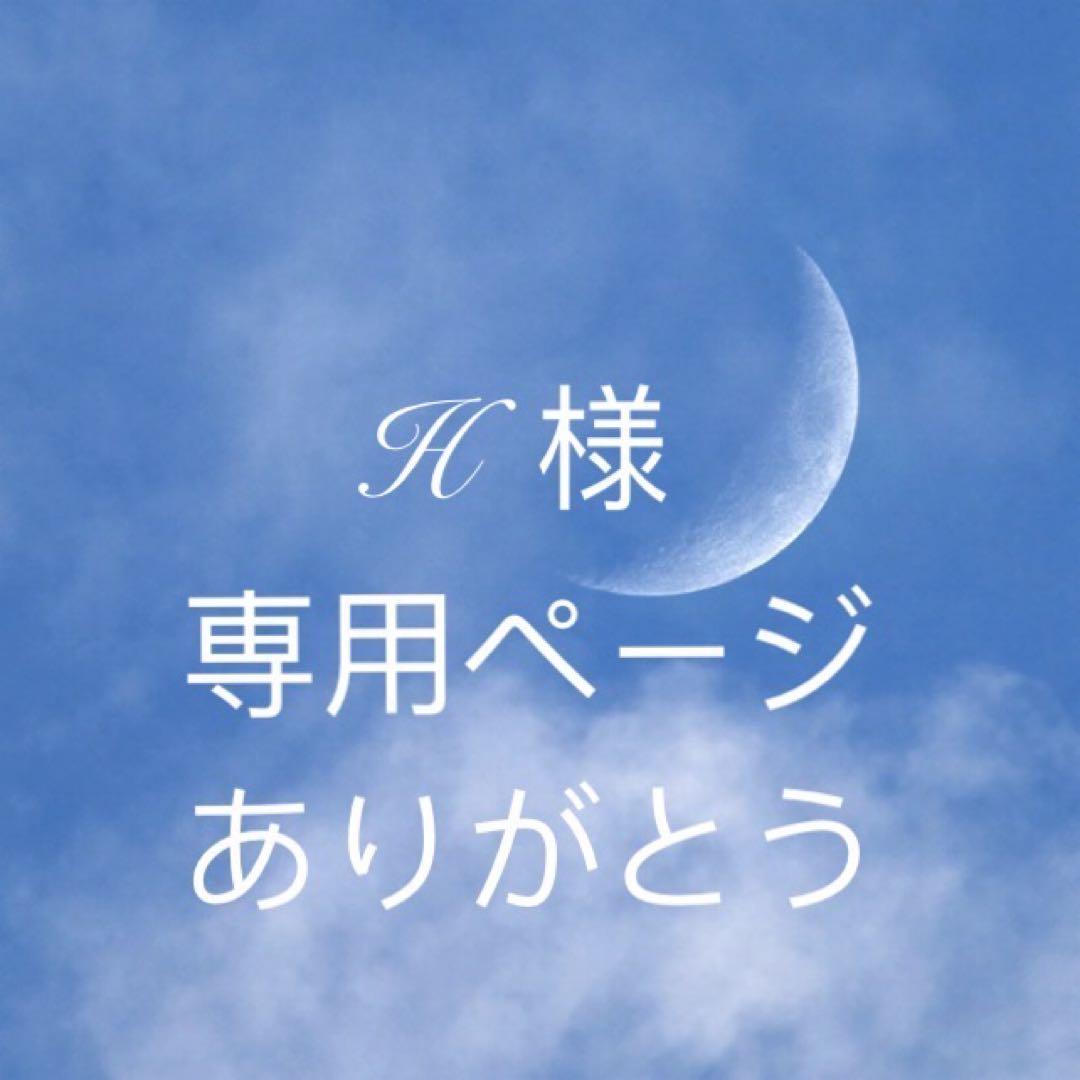 Hページ　e56 HAMILEX ハミレックス LH-24 壁掛金具 角度固定タイプ ～65V型 | JATO